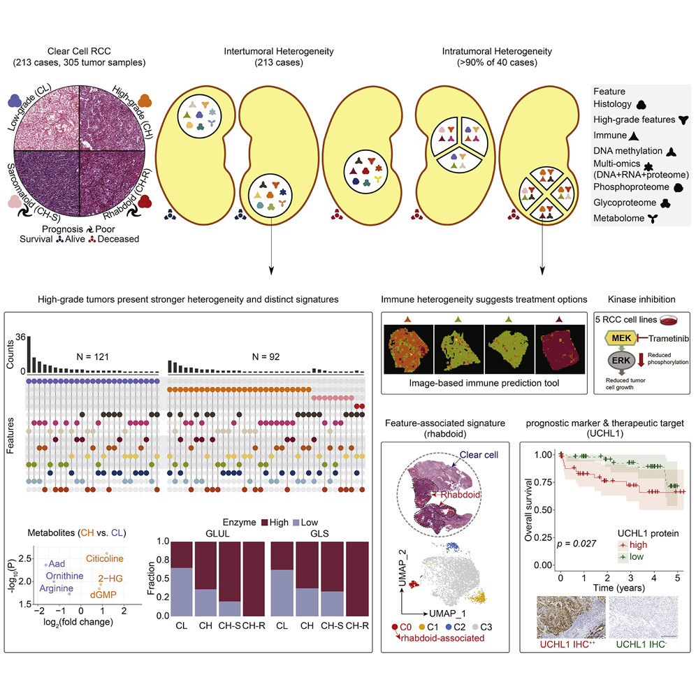 Graphical Abstract